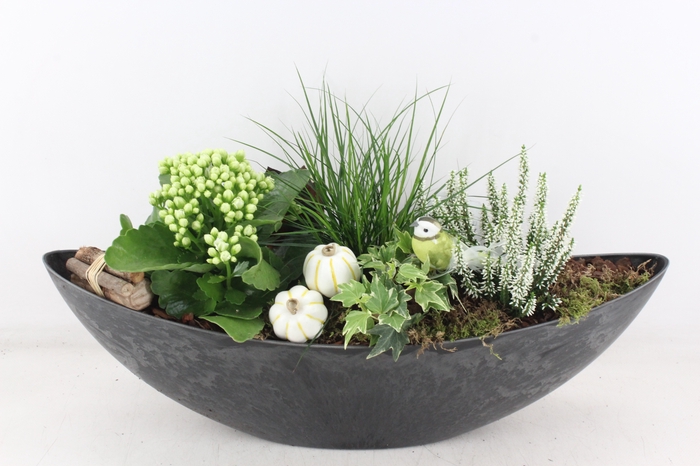 <h4>arr4 Outdoor VL - Kunststof kano black</h4>