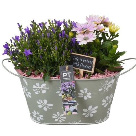 <h4>Opm Pt PTPP2457 Patio Zink Pot</h4>