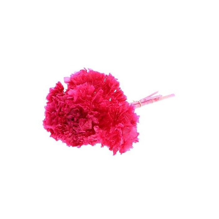 <h4>Bunch Hydrangea Pres.L30</h4>