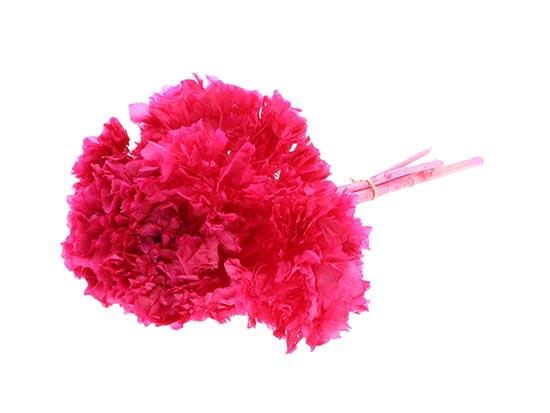 Bunch Hydrangea Pres.L30