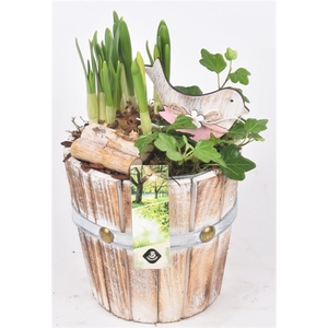 Hout pot 15cm