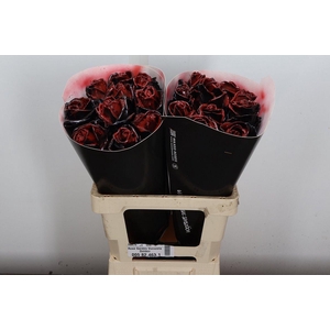 R Ov Wx Vintage Black Red