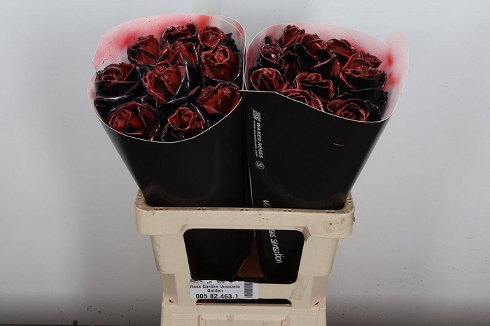 <h4>R Ov Wx Vintage Black Red</h4>