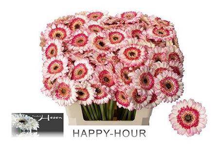 <h4>Ge Mi Happy Hour</h4>