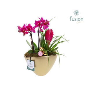 Pot keramiek Ovaal Kerst met Arrangement