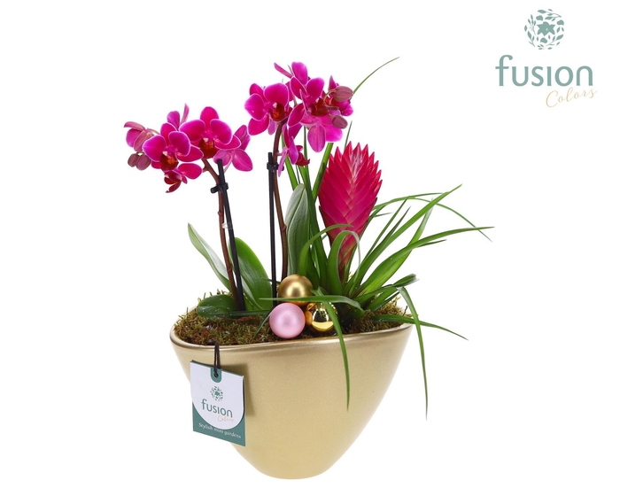 <h4>Pot keramiek Ovaal Kerst met Arrangement</h4>