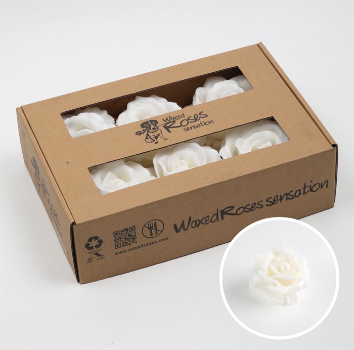 <h4>Zijde Wax-Rozen Zijde Wax Supreme Wit</h4>