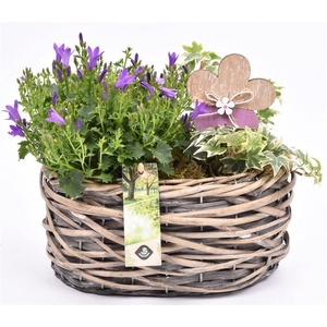 Wilg mand ovaal girjs 22x13cm