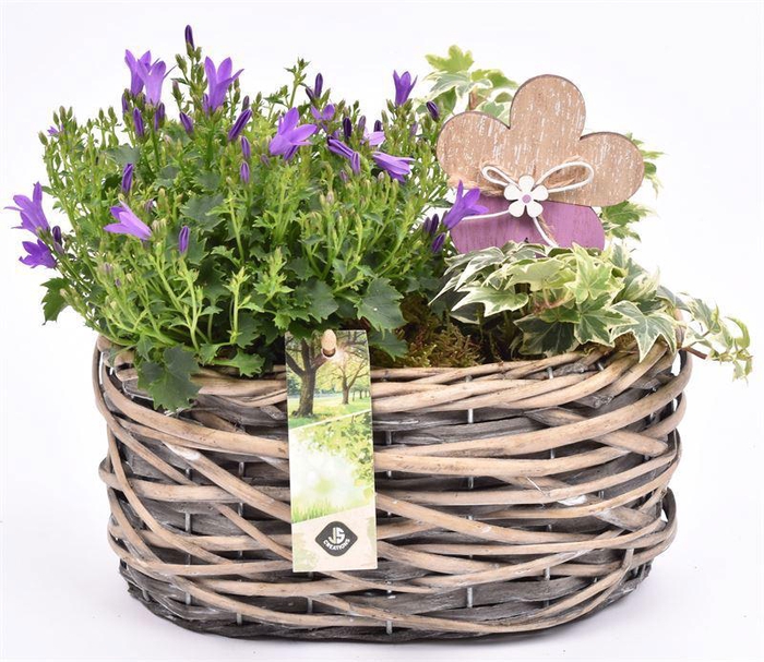 <h4>Wilg mand ovaal girjs 22x13cm</h4>