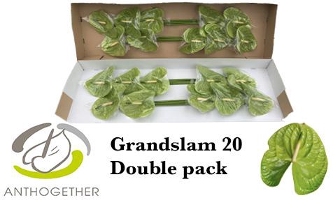 <h4>ANTH A GRAND SLAM 20 Double Pack</h4>