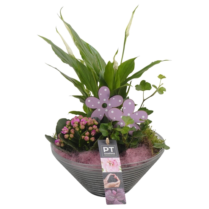 <h4>Arr.    Planten  L%</h4>