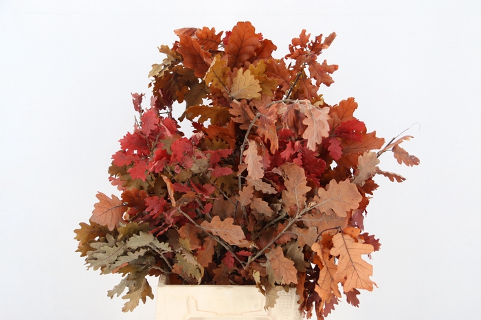 <h4>DROOGBL BEWERKT H%</h4>