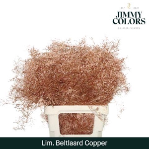 Lim Bel L70 Metallic copper