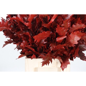 Eik Grof Rood