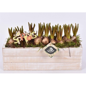 Hout rechthoek 27x9.5 white wash