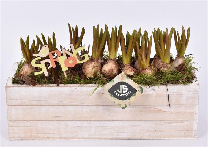 <h4>Hout rechthoek 27x9.5 white wash</h4>