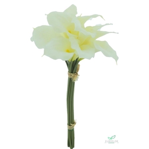SILK FLOWERS - CALLA BUNDLE X12 CREAM 45CM