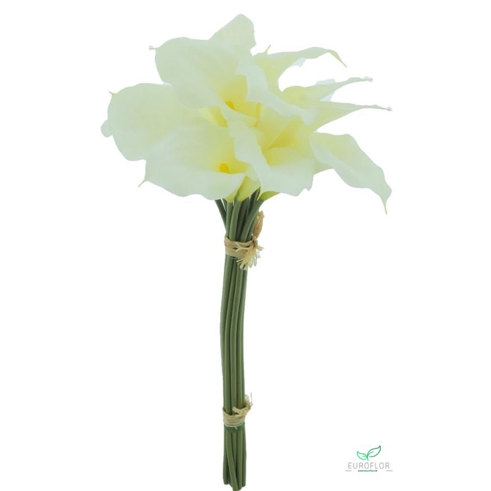 <h4>SILK FLOWERS - CALLA BUNDLE X12 CREAM 45CM</h4>