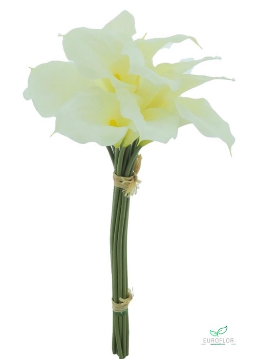 SILK FLOWERS - CALLA BUNDLE X12 CREAM 45CM