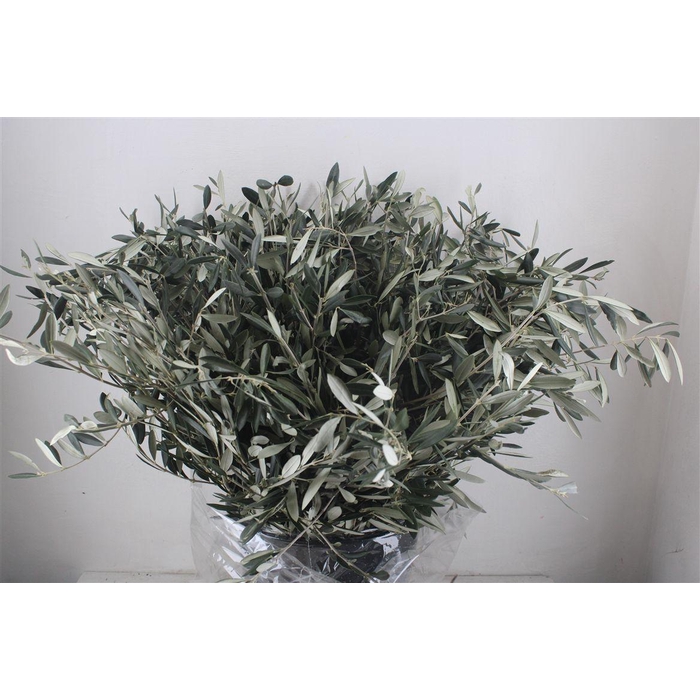 <h4>Olijf 400gr P Bunch</h4>