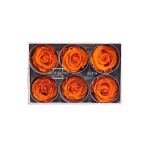 R P 2530 Orange