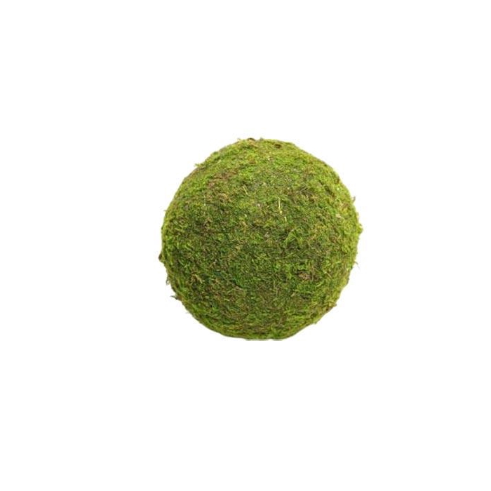 <h4>Ball Asia Moss D15</h4>