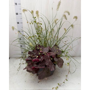 VASTE PL GEM IN POT