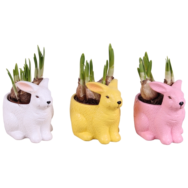 <h4>Easter Indoor Ceramic Colorful Easter Rabbit Mix Ø15cm 1PP</h4>