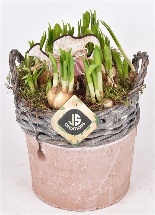 <h4>Wilg rand met terra pot 16cm</h4>