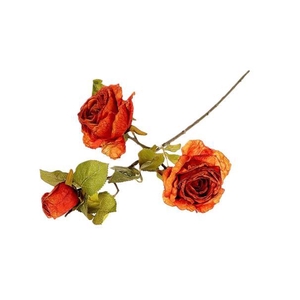 Branch Rosa Horta L66