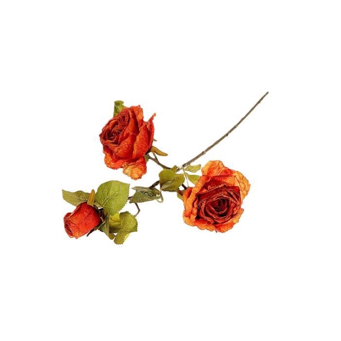 <h4>Branch Rosa Horta L66</h4>