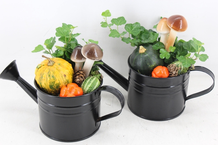 <h4>arr4 Sierfruit JS - Zink gieter black kl. x6</h4>