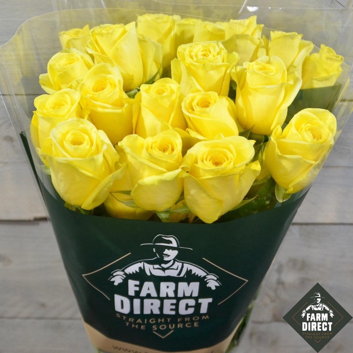 <h4>R GR HUMMER</h4>