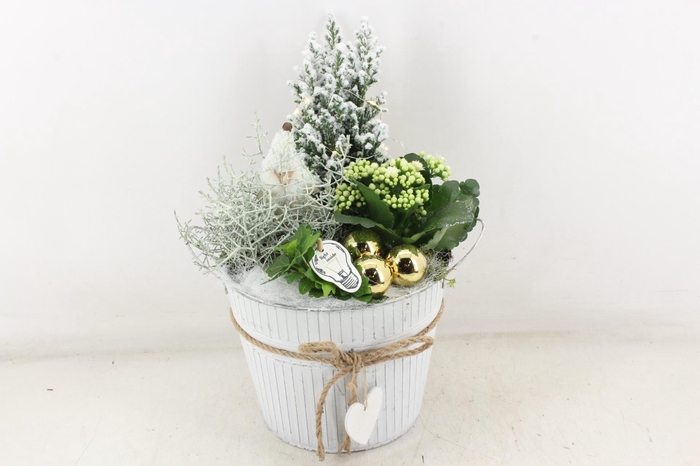 <h4>arr2 PL - Zink emmer L led picea</h4>