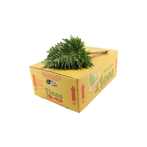 Lederv. Medium Telon