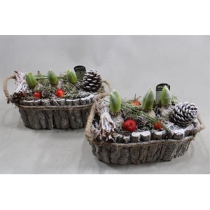 1127 Schors Ovaal HYA