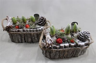 <h4>1127 Schors Ovaal HYA</h4>