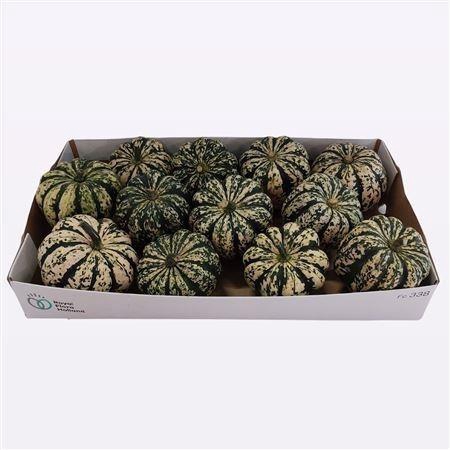 <h4>CUC P SWEET DUMPLING</h4>