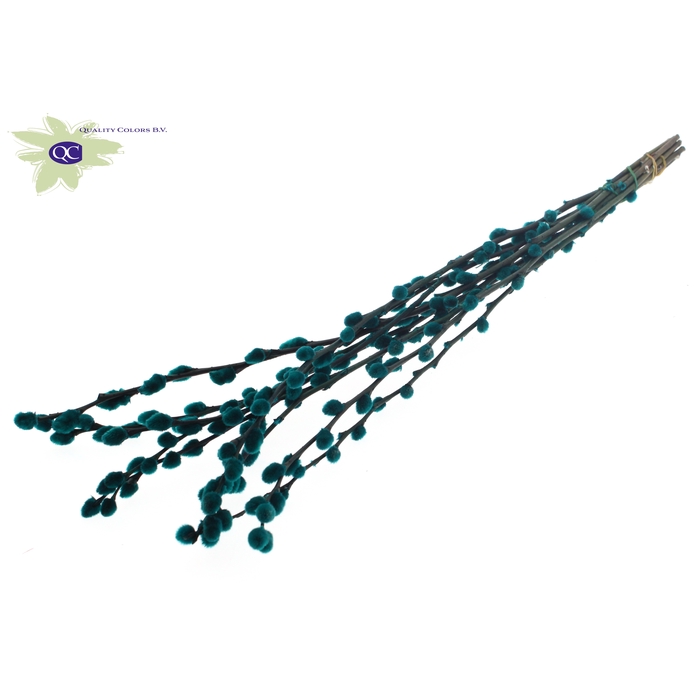 <h4>Pussy Willow 80cm Turquoise</h4>