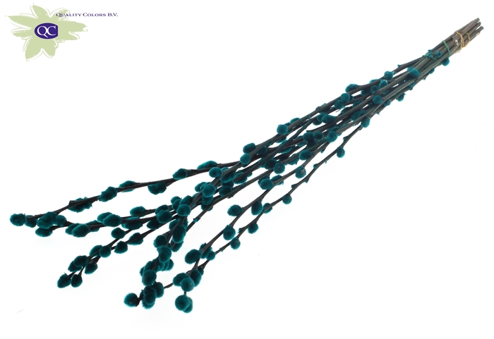 <h4>Pussy Willow 60cm Turquoise</h4>