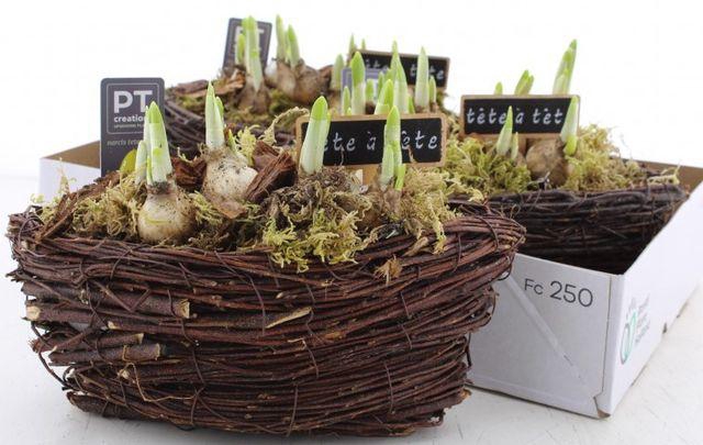 <h4>ARR N TETE A TETE</h4>