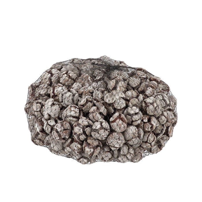 <h4>Nature Cypresse Stone Washed White P/kg</h4>