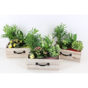arr3 DT - Hout lade mix
