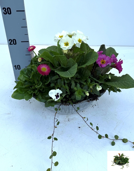 <h4>OVERIGE PERKPL</h4>