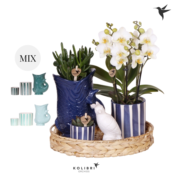 <h4>Kolibri Gift Set Mediterranean Sunset blue green mix</h4>