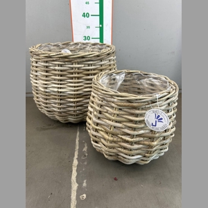 MAND ROTAN  2 DELIG D34XH29 D24XH22