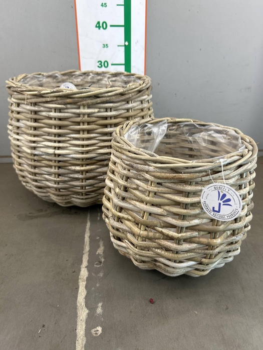 <h4>MAND ROTAN  2 DELIG D34XH29 D24XH22</h4>