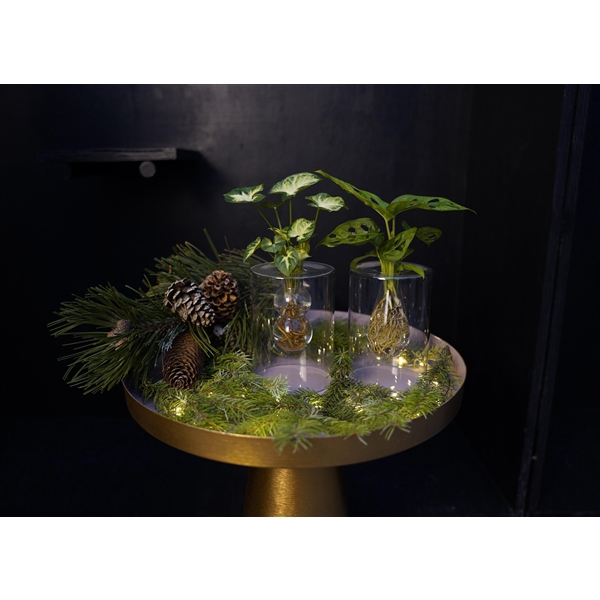 <h4>Christmas | Mix in Sydney glas</h4>