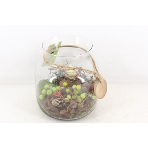 arr4 Amaryllis MB - Glas candy touw x5 RD