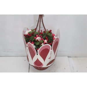 BRINCO DE PRINCESA C21